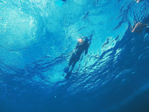 Meet your Posher, Gyenne